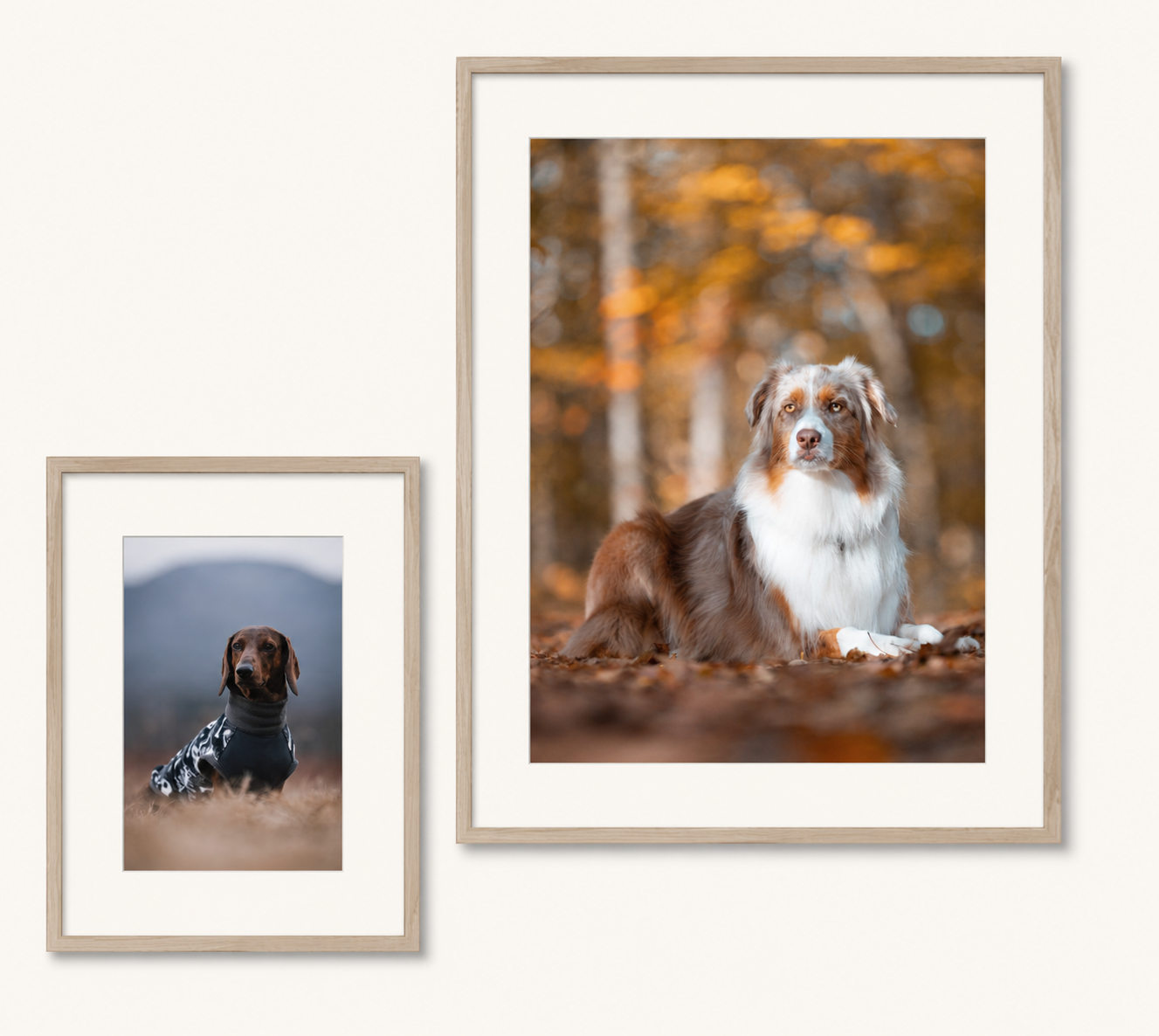 Two custom framed dog portraits displayed as artwork